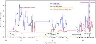 Recombination in the Human Pseudoautosomal Region PAR1