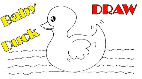 How to Draw a Baby Duck - Step By Step - YouTube