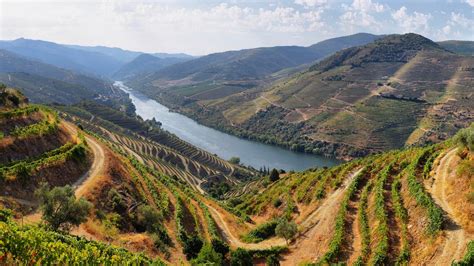 Port Wines & Grape Varieties of Douro Valley, Portugal