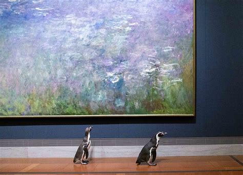 Kansas City Zoo's Trio of Penguins Take a Field Trip to a Local Art Museum