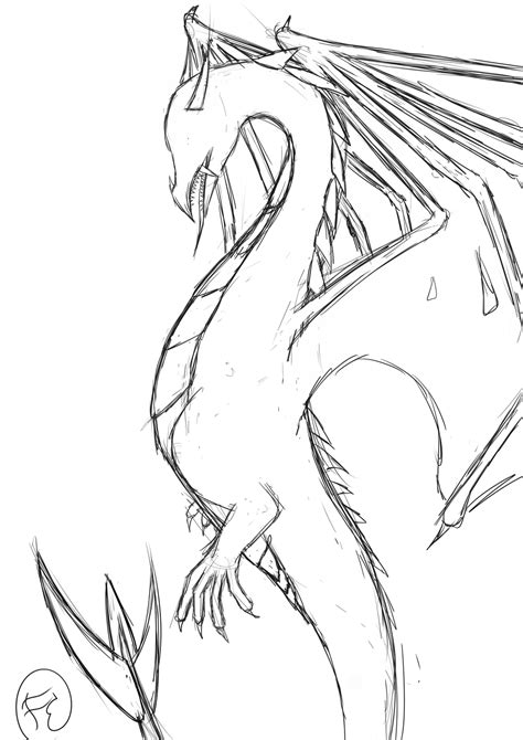 Wyvern sketch by FracturedEpiphany on DeviantArt