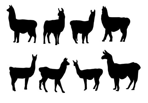 Free Silhouette Llama Vector 130599 Vector Art at Vecteezy