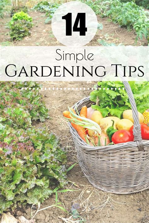 14 Simple Gardening Tips - Tips to Help Your Garden Thrive