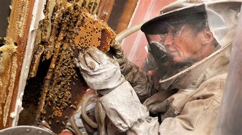 Bee Swarm Removal Guide 101 - 2020 - Bees Removal Melbourne