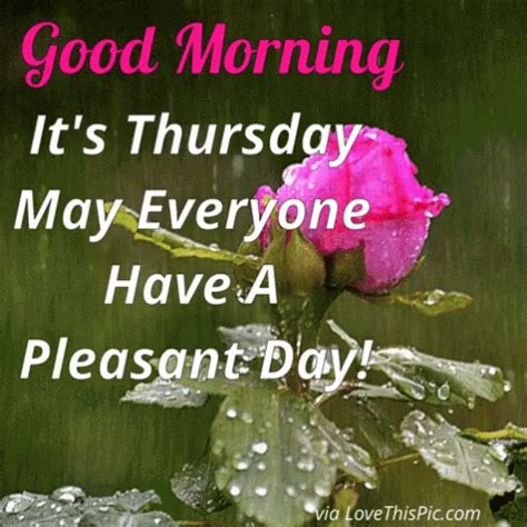 Good Morning Thursday GIF - GoodMorning Thursday HaveANiceDay ...