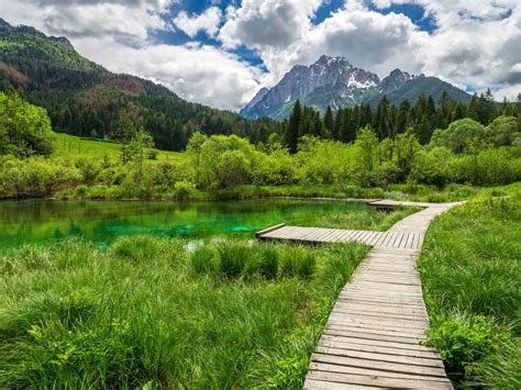 The post Zelenci nature reserve: One of the Amazing Point in Slovenia ...