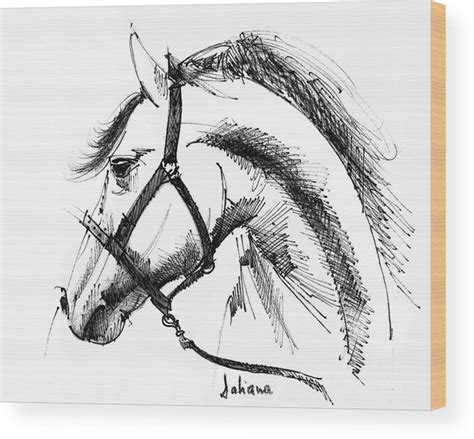 Horse face ink sketch drawing Wood Print by Daliana Pacuraru