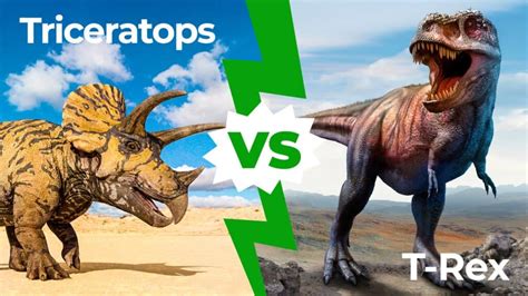 Triceratops vs T-Rex: Who Would Win in a Fight? - IMP WORLD