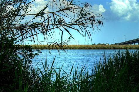 The Apalachicola River as it flows into the Apalachicola Bay in ...