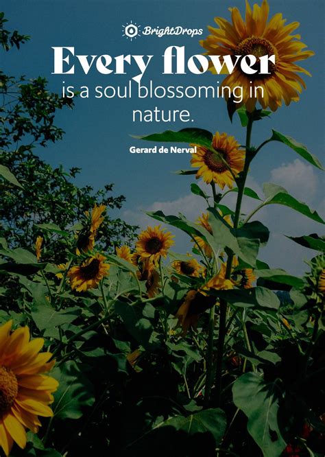 105 Inspirational Nature Quotes on Life and Its Natural Beauty