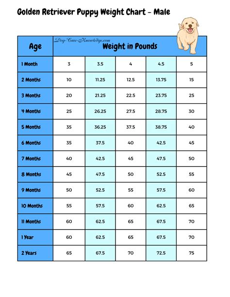 Understanding Your Golden Retriever Puppy Weight Chart