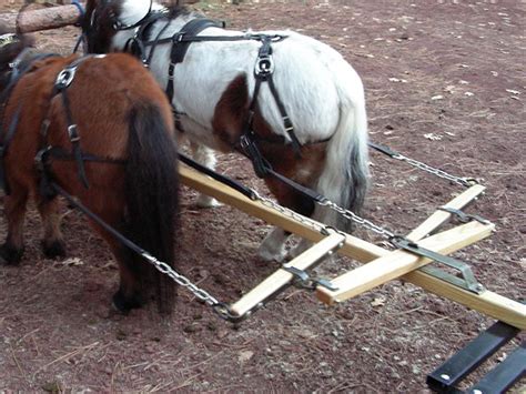 Northwest Mini Tack - Miniature Horse Carts & Harnesses | Mini horse ...