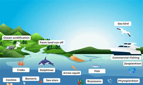 The Astonishing Importance of Aquatic Ecosystems Explained | Maya