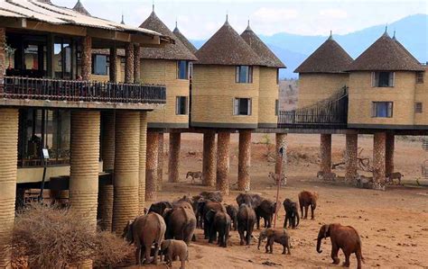 Taita Hills Sarova Salt Lick Game Lodge – African Safari Tours ...