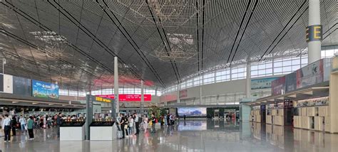 Tianjin Binhai Airport T1 Guide: Airlines, Map, Food, TSN