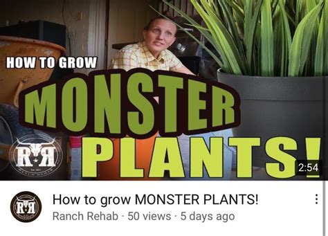 How to grow MONSTER PLANTS! - YouTube in 2021 | Monster plant, Potted ...