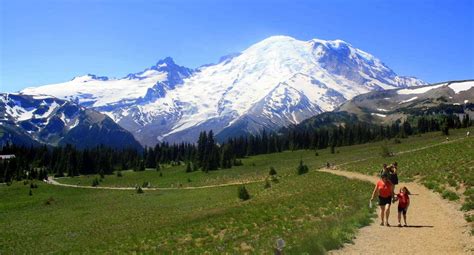 Sunrise Visitor Center | Visit Rainier