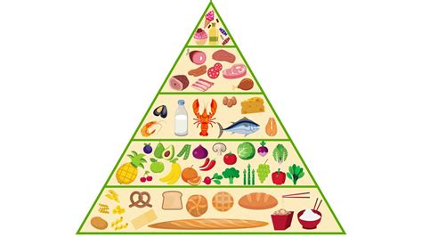 In detail the new food pyramid - E Who Know