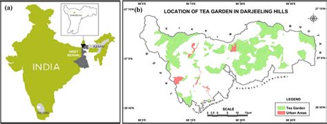 British Colonization and Development of Black Tea Industry in India: A ...