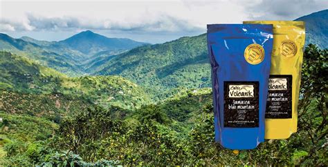 Jamaica Blue Mountain coffee 100% - Free delivery in Canada