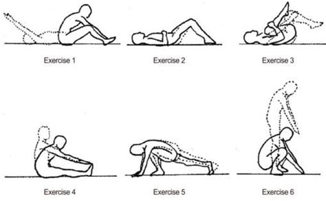 Image result for stretches for lordosis | Williams flexion exercises ...