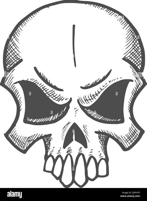 Angry skull with sharp teeth isolated dead person head sketch. Vector ...