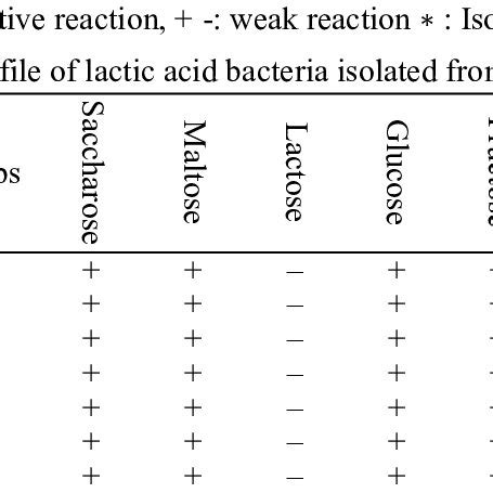 Taxonomic identification of lactic acid bacteria isolated from B ...