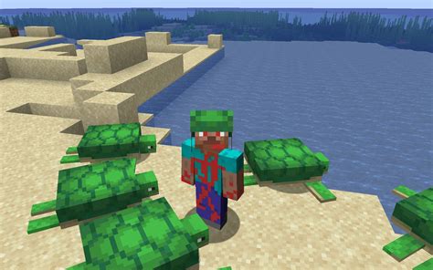 How to get turtle shells in Minecraft 1.18?