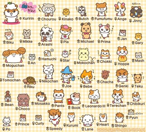 Sanrio | Hello kitty characters, Hello kitty, Cute doodles