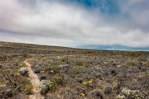 How to visit San Miguel Island, Channel Islands National Park - Los ...