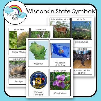 Wisconsin State Symbols by Rainbow Girl | TPT