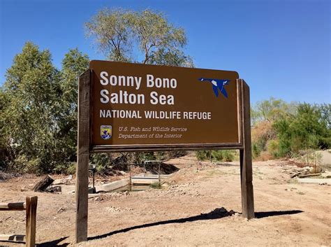 Top Tips for the Sonny Bono Salton Sea National Wildlife Refuge Complex ...