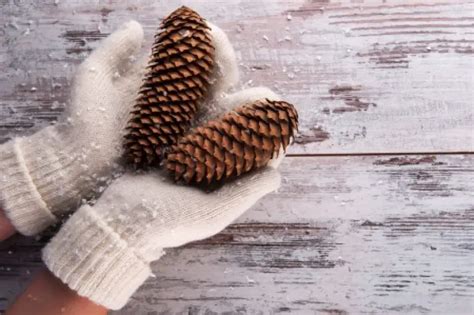 10 Best Winter Gloves Reviewed & Rated in 2024 | TheGearHunt