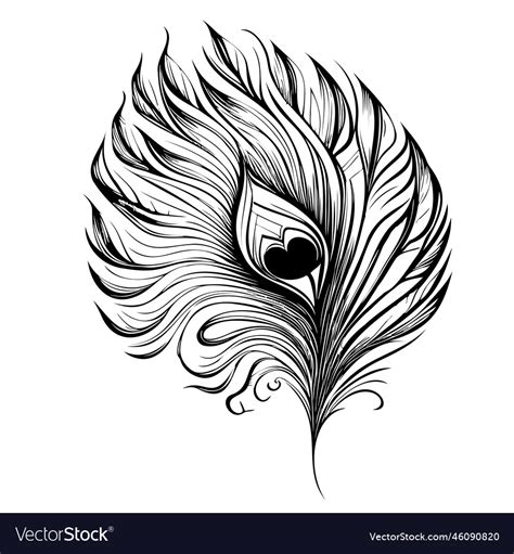 Peacock feather hand drawn sketch Royalty Free Vector Image