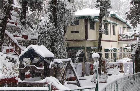 A Winter Wonderland in Mussoorie