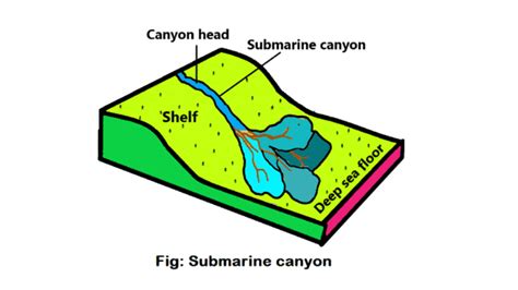 Canyon Diagram