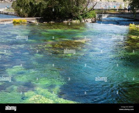 Giant Springs State Park, Great Falls, Montana, USA Stock Photo - Alamy