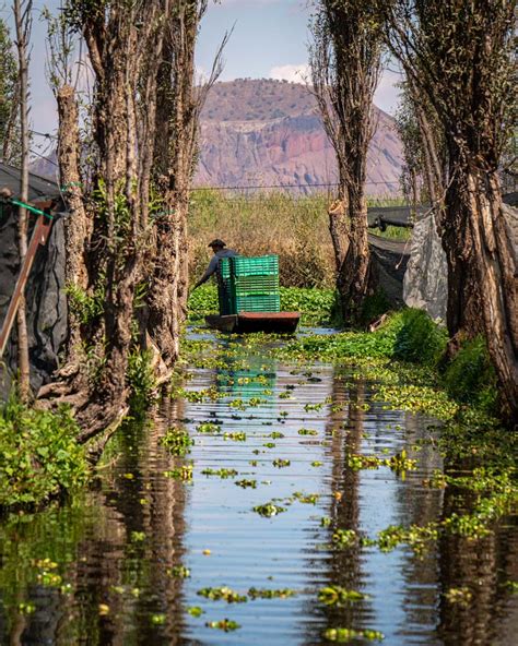 An authentic day trip to the chinampas of Xochimilco, Mexico City