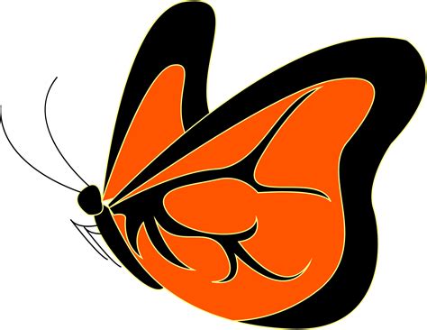 Orange butterfly, illustration, vector on white background. 13600590 ...