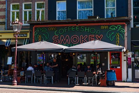 Is smoking weed in Amsterdam legal? (+ 7 best coffeeshops!) | DutchReview