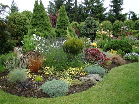 Pin by Corina Orwiler on Evergreen Garden.. | Diy backyard landscaping ...