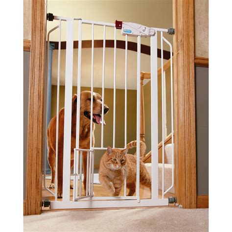 Carlson Pet Products Extra Tall Pet Gate with Small Pet Door - 162002 ...