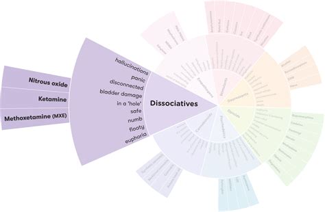 Is Alcohol A Dissociative? - Recovery Ranger