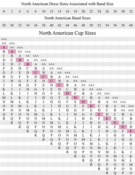 Different Bra Cup Size Chart