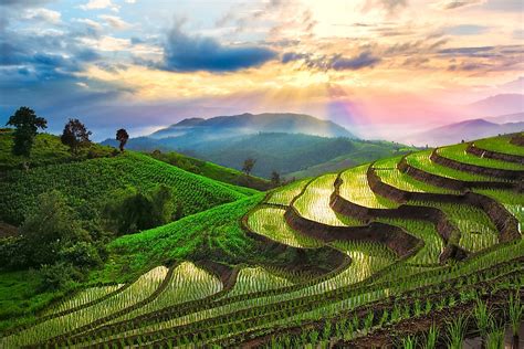 The Awe-Inspiring Beauty of Rice Terraces - WorldAtlas