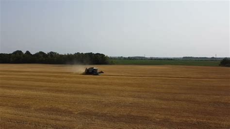 N7 gleaner combining wheat 2021 - YouTube