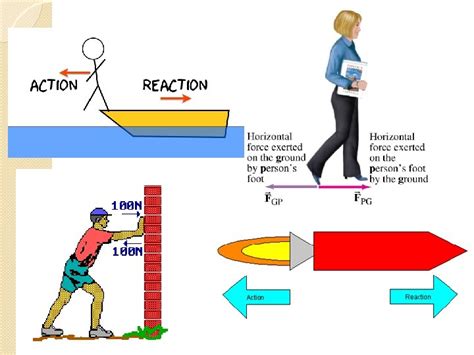 Newtons 3 rd Law Action and Reaction Force