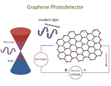 This figure shows how electrons in the valence band can be excited to ...