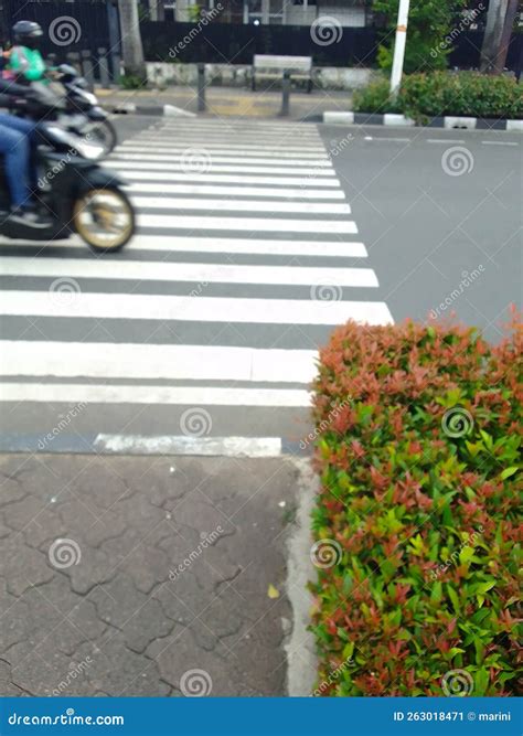 Zebra cross on the road stock image. Image of vehicle - 263018471