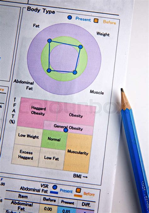 Analysis of body composition | Stock image | Colourbox